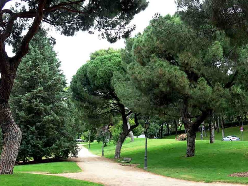 Salamanca se adapta a los edificios medioambientalmente sostenibles: Eficiencia energética y energía renovable en nuestra ciudad