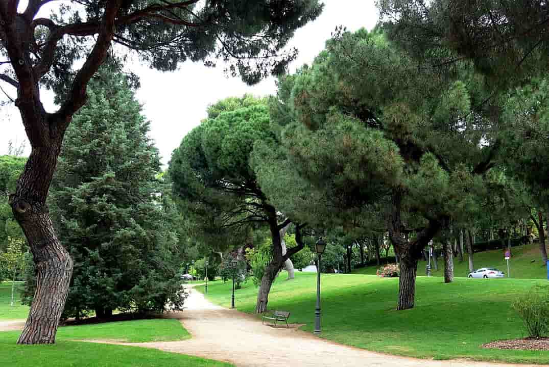 Salamanca se adapta a los edificios medioambientalmente sostenibles: Eficiencia energética y energía renovable en nuestra ciudad